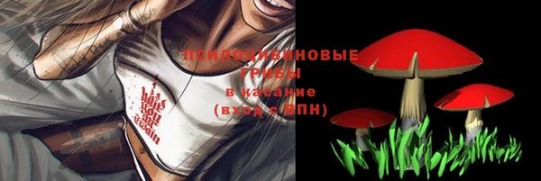 МДПВ Абинск