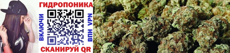 Конопля White Widow Абаза